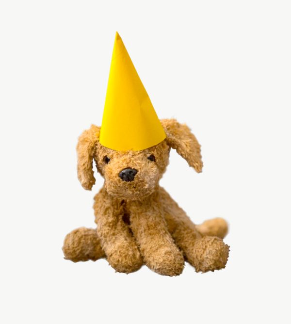Party hat