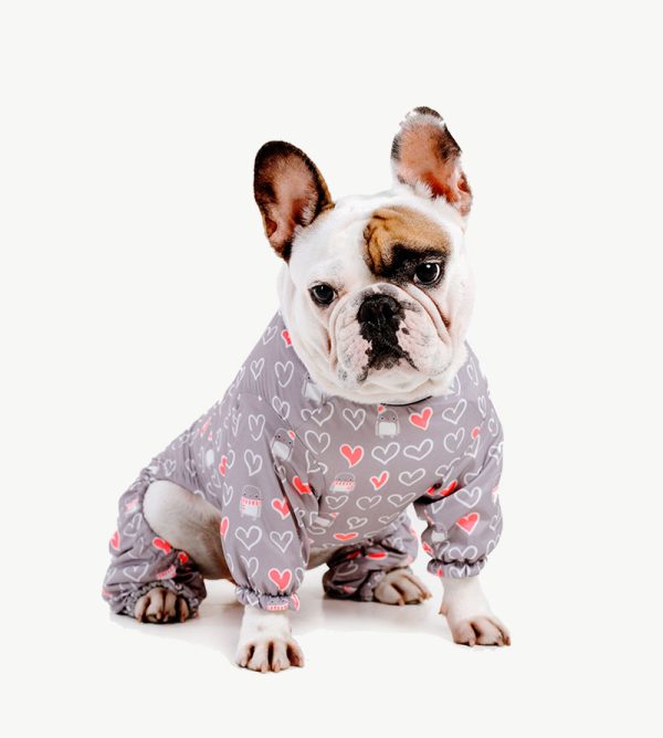 Onesie dog pj