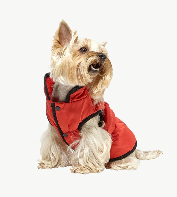 Warm raincoat