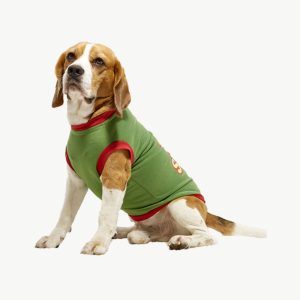 Dog jersey