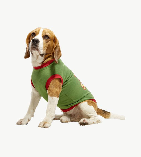 Dog jersey