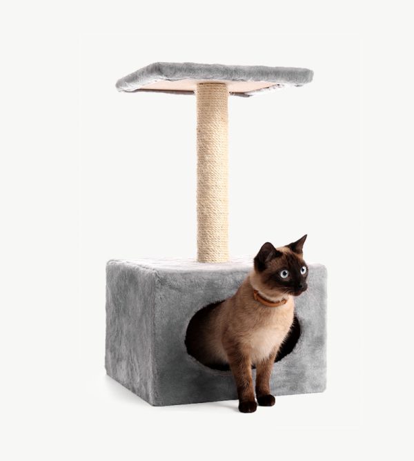Cat play house