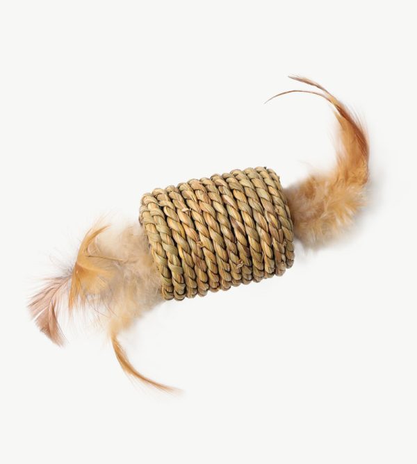 Kitty Toy